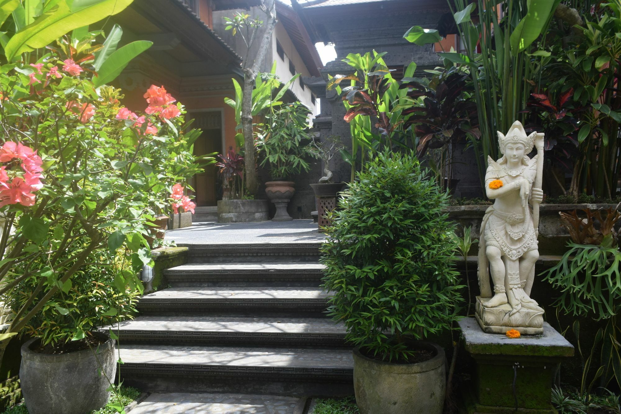 Aura Bisma Guest house Ubud (Bali)