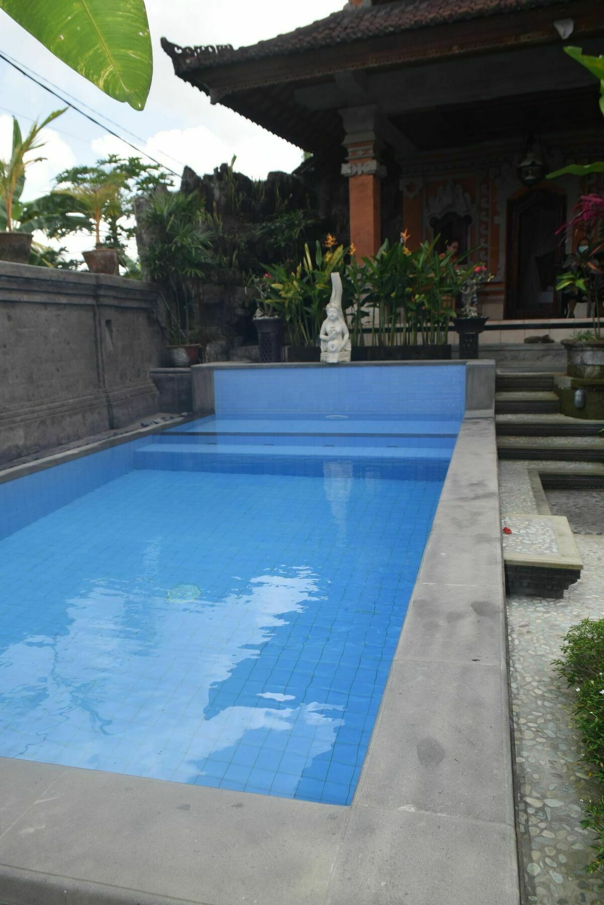 Aura Bisma Wisma tamu 2*